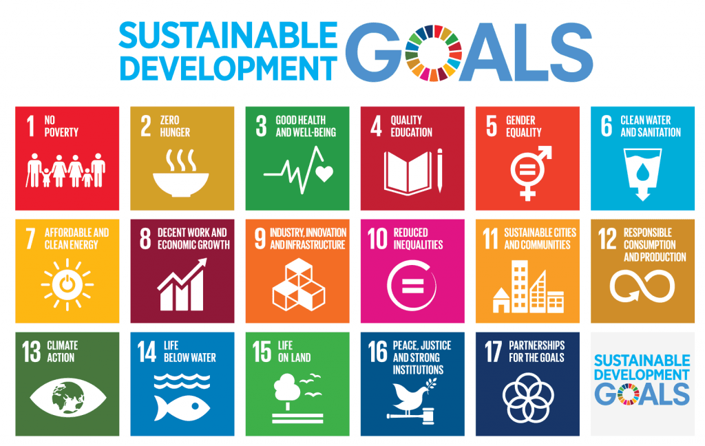 The 17 United Nations Sustainable Development Goals